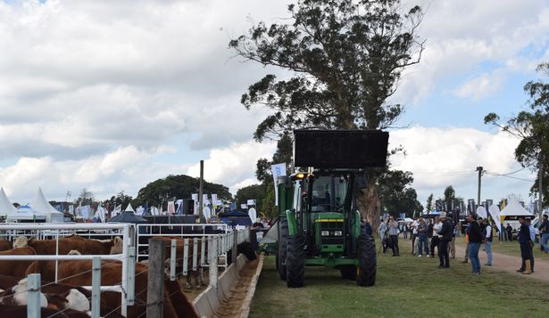 Expo Rural de Melilla: la edición de 2025 se hará del 3 al 6 de abril.