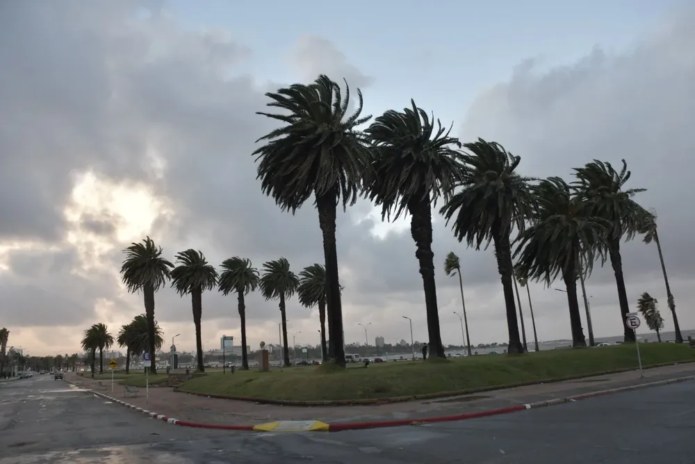 Se pronostican rachas de viento de entre 40 y 50 km/h
