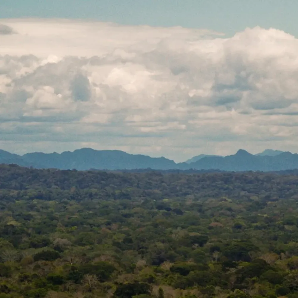 El parque nacional Madidi