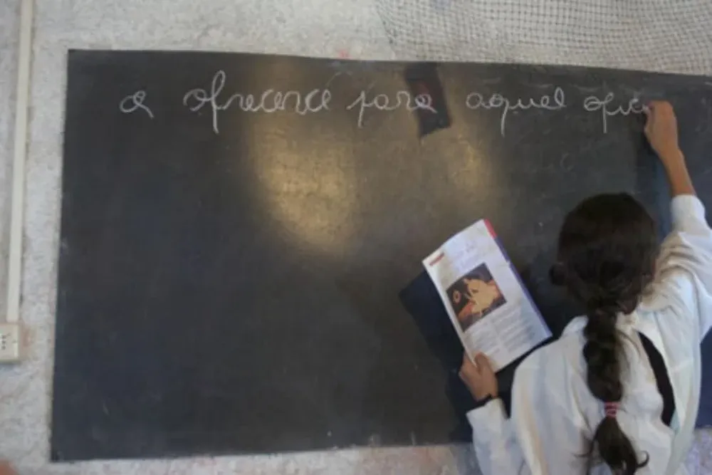 Educación primaria