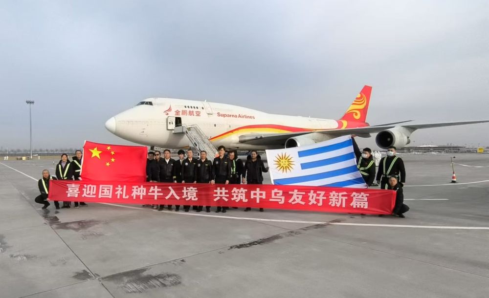 China recibió a los tres toros que Uruguay le envió.