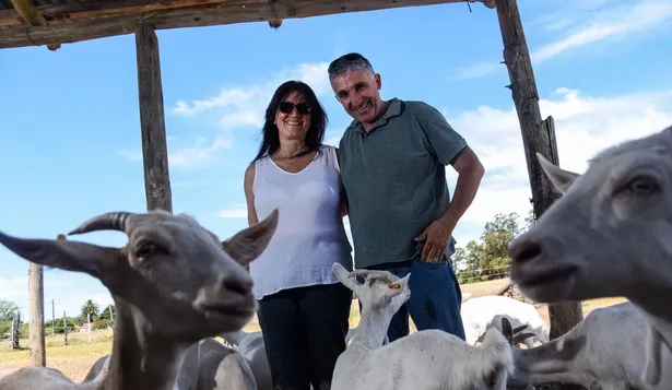 Estela Martín y Ariel Méndez en su tambo de cabras en Canelones.
