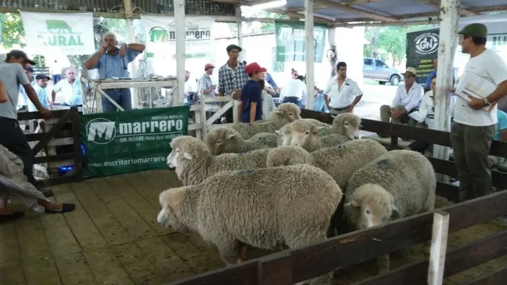 Remató Darío Marrero en el local Curticeiras