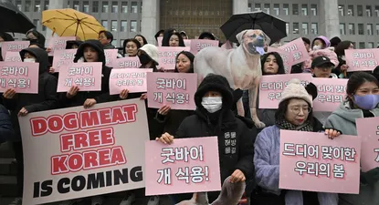 El Observador | 1704795740162.webp