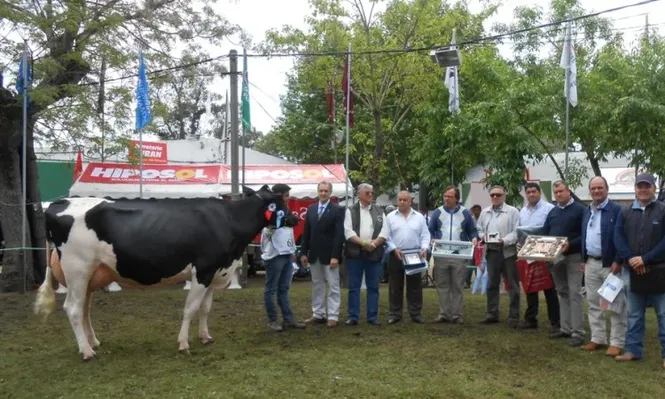La Gran Campeona Holando de Pedigri de Tornielli Hnos al ser coronada este domingo en San José