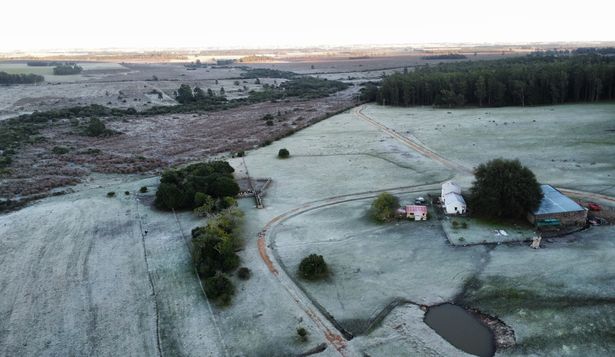 Las impresionantes heladas en Lavalleja en medio de la ola de frío de Inumet: mirá las imagénes