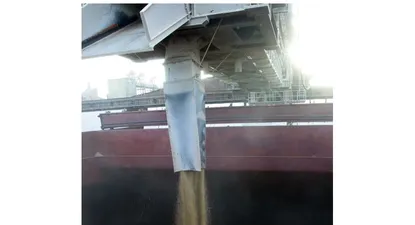 Dólar: lo que nos sugiere el FMI