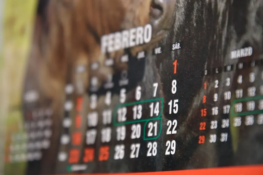 Historias de nacidos los 29 de febrero.