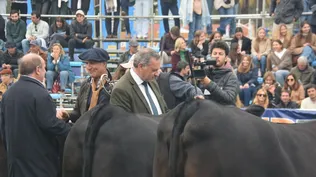 Delgado coronó a la Gran Campeona.