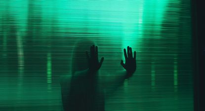 El Observador | temor