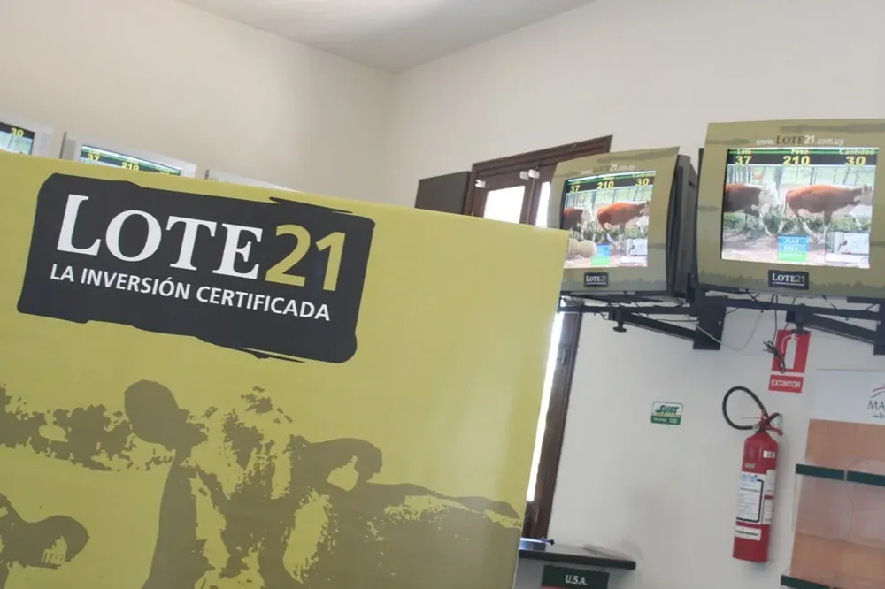 Una instancia emotiva y complicada