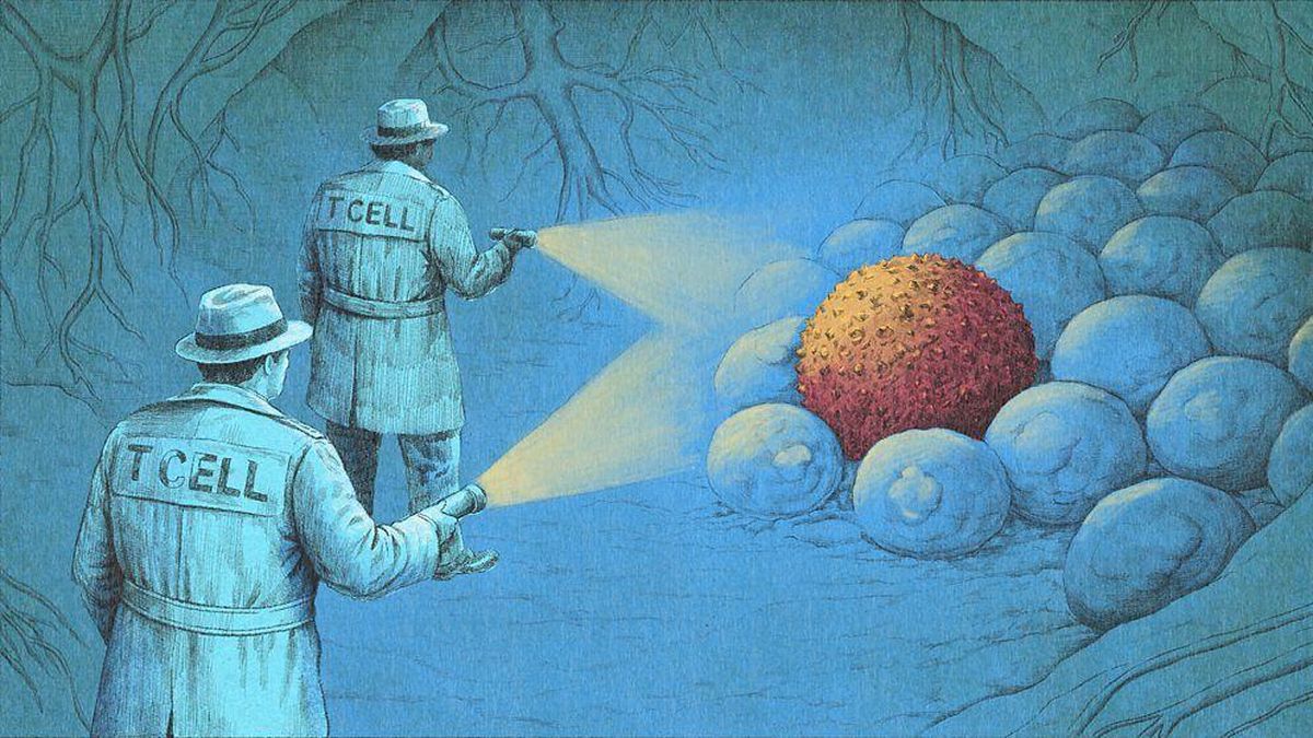 "Es increíble, como ciencia ficción": los nuevos tratamientos con inmunoterapia que están eliminando el cáncer