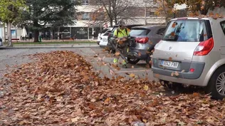 Trabajo de recogida de hojas en Pamplona.