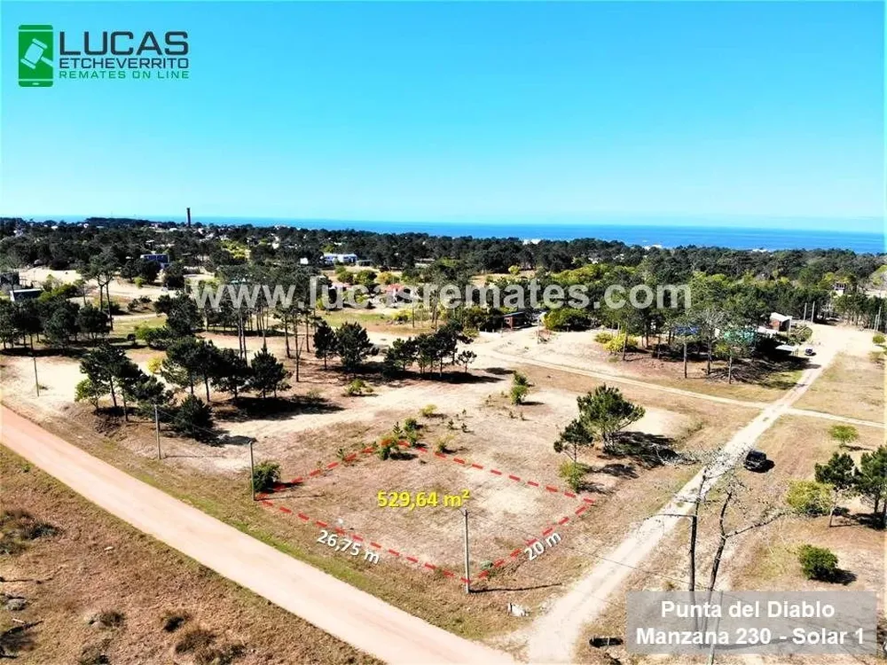 Etcheverrito presenta otra gran oportunidad.