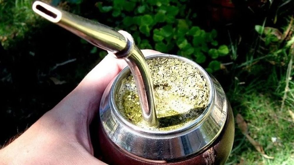 mate dengue