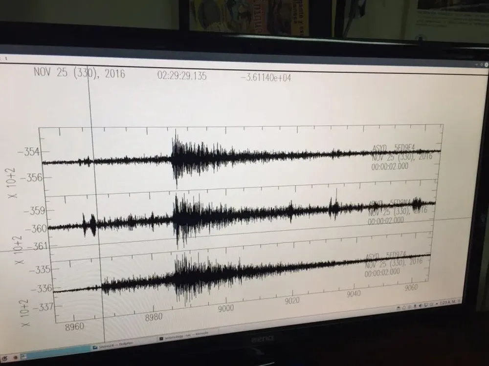 Monitoreo del sismo, con epicentro en Sauce.