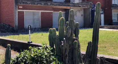 El Observador | 1550782902281.webp