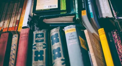 Qué formación necesita según su momento profesional