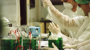 Laboratorios cambian de manos por auge del sector y atomización
