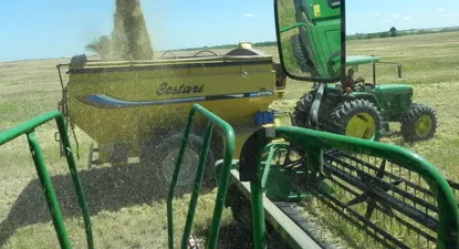 Una cosecha récord de trigo le puede dar una mano al gobierno.