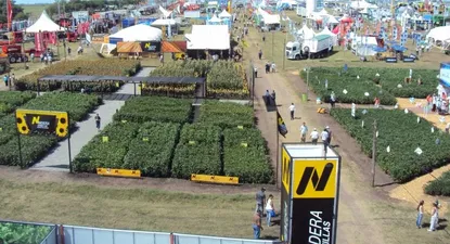 El Observador | 0024605346.webp