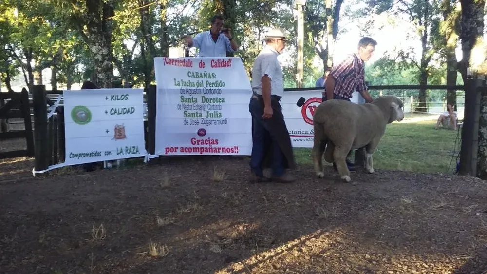 Remató Ignacio Victorica