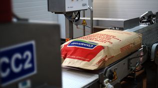 Exportaciones de lácteos: lidera la leche en polvo entera.