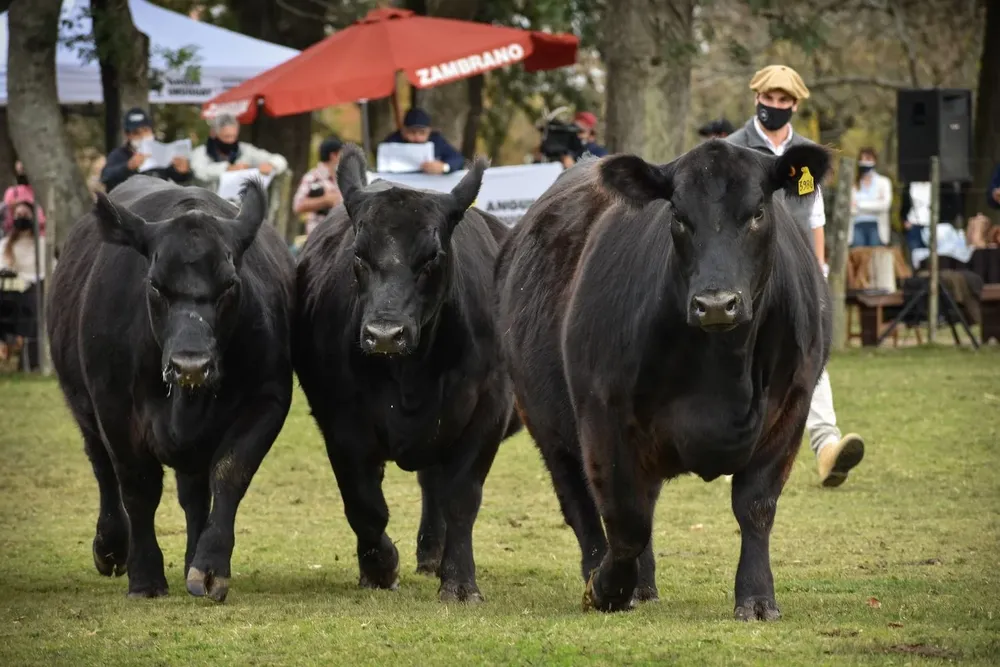 Las actividades se realizaron en la Asociación Rural de Florida.
