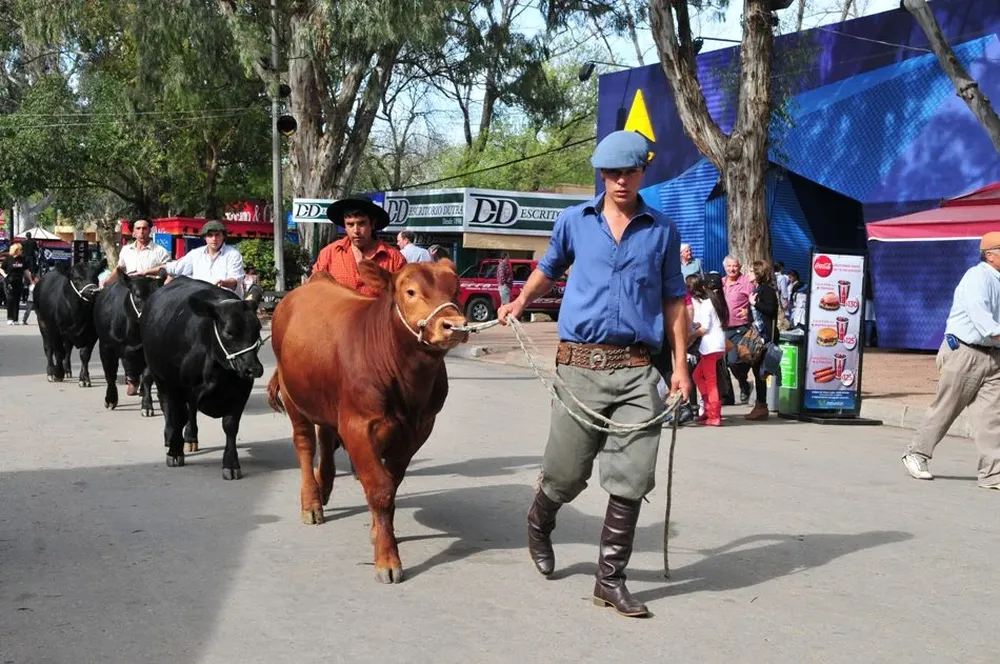 Casi 1.800 animales en el predio ferial