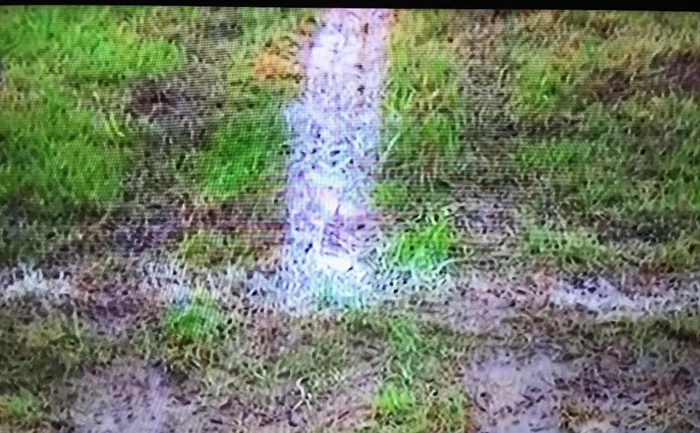 Estado del campo de juego una hora antes del partido