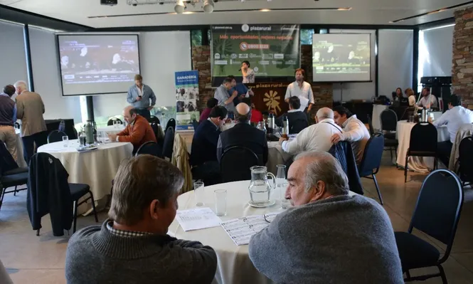 La coyuntura del negocio generó colocación parcial en algunas categorías.