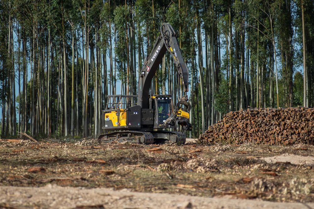 Uruforest 2026: el mundo forestal pone la mira en una cumbre de uno de los principales sectores productivos y exportadores de la economía en Uruguay.