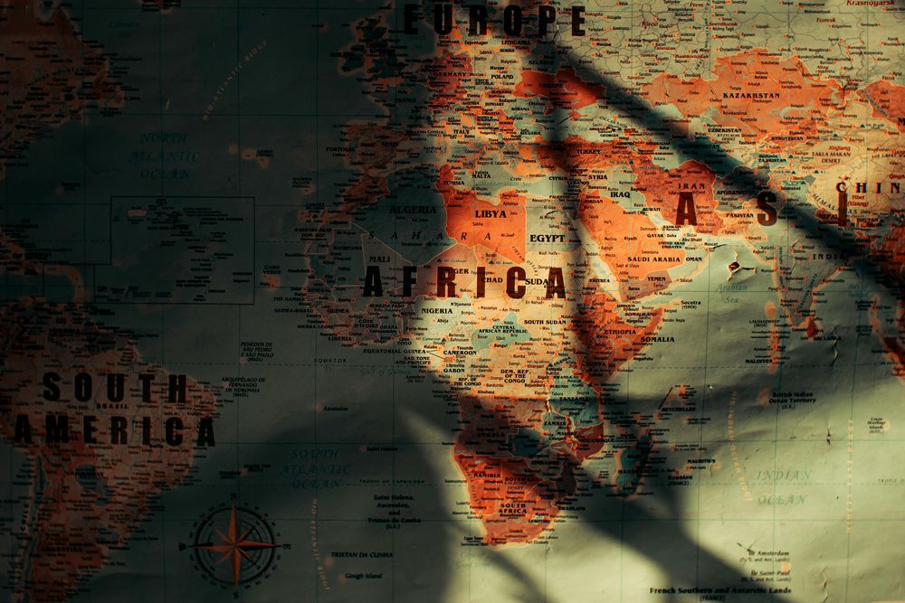 Un país de Sudamérica se posiciona como uno de los exportadores más grandes de un alimento considerado oro negro. Pexels