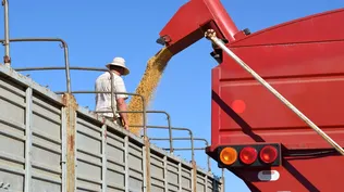 La zafra sojera rondará los 3 millones de toneladas.