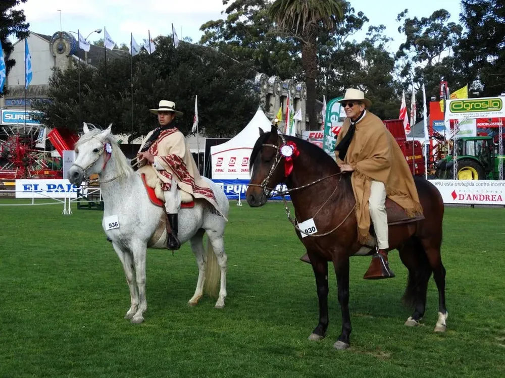 La Gran Campeona y el Gran Campeón de la raza Peruano de Paso.
