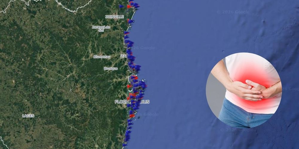 brote de gastroenteritis en Brasil