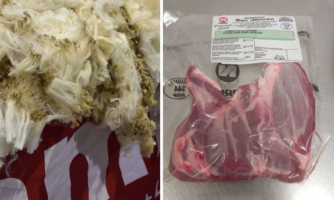 Rubro ovino: lanas al alza y carne ovina en baja.