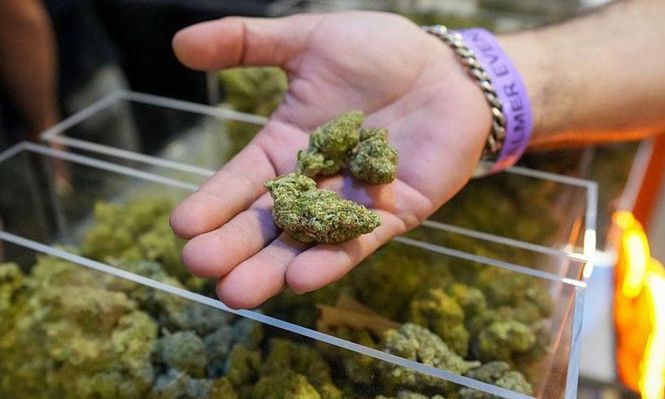 El uso lúdico del cannabis seguirá estando prohibido a nivel federal, pero nuevas regulaciones abren su acceso.