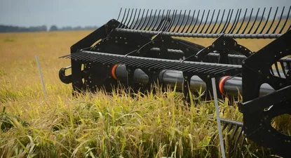 Sector arrocero: una cosecha récord es desafiante en un momento del mercado con mucha oferta.