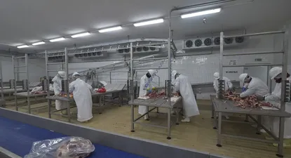 La industria frigorífica tuvo un año de faena récord con más de 2,6 millones de cabezas.