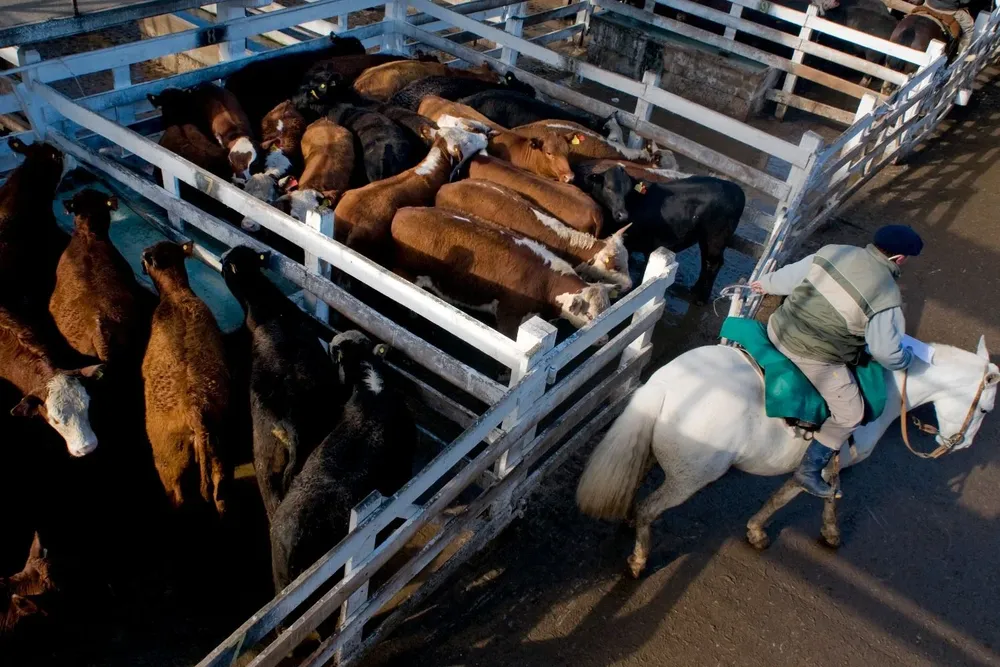 Un ciclo ganadero en fase neutral.