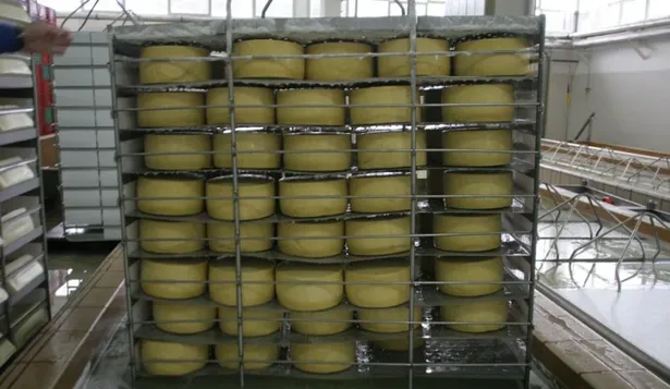 Queseros firmaron con Venezuela, pero aún no cobraron