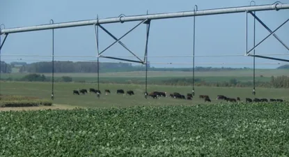 UTE prepara esquema de tarifas variables hora a hora para 2016