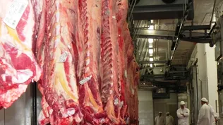 La industria presiona para ajustar precios a la baja y los productores resisten