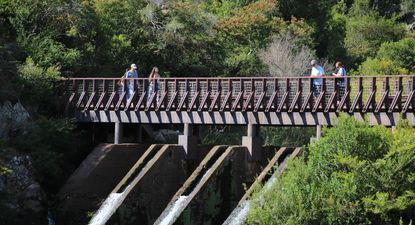 Alquileres en Semana de Turismo: cuáles son los departamentos más demandados y qué precios registran