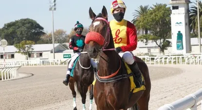 El Observador | _H1H2674.webp