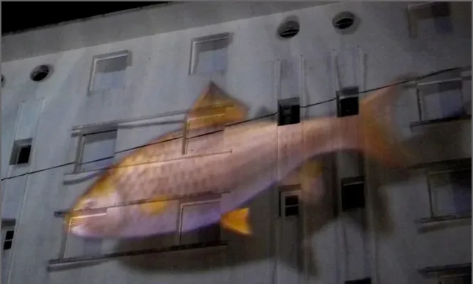 Se viene la Noche Blanca