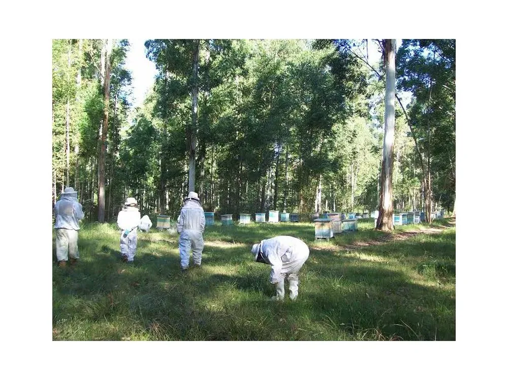 Las medidas de protección son uno de los aspectos de mayor cuidado.