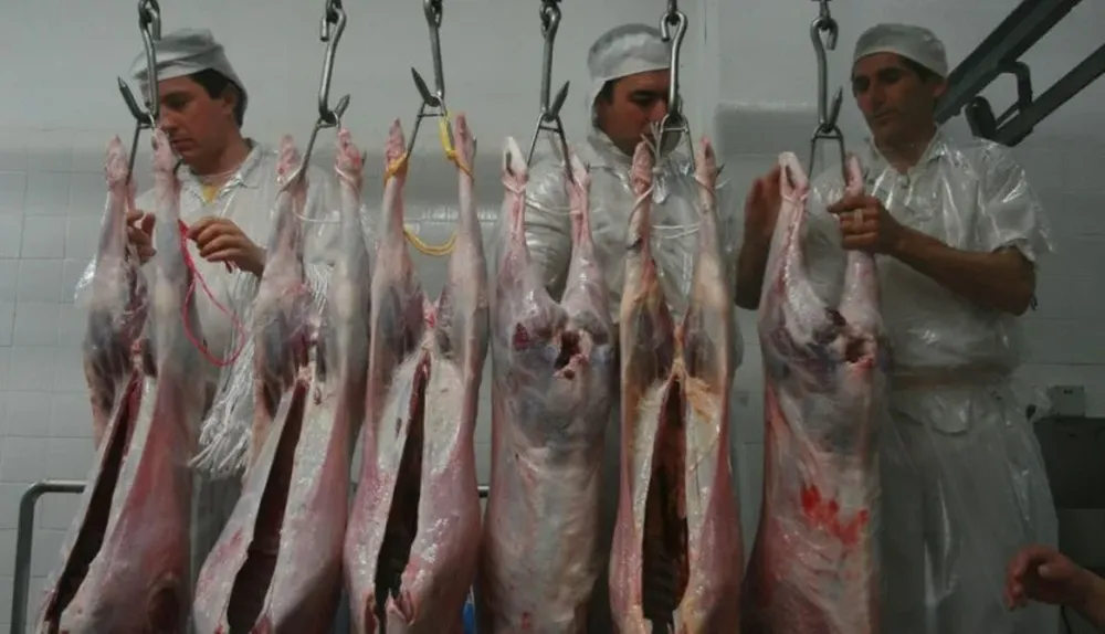 Carne ovina, un producto muy valioso para el productor, con destino al consumo predial, al abasto interno y a la exportación.