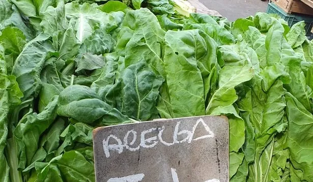 Ofertas en el MAM.